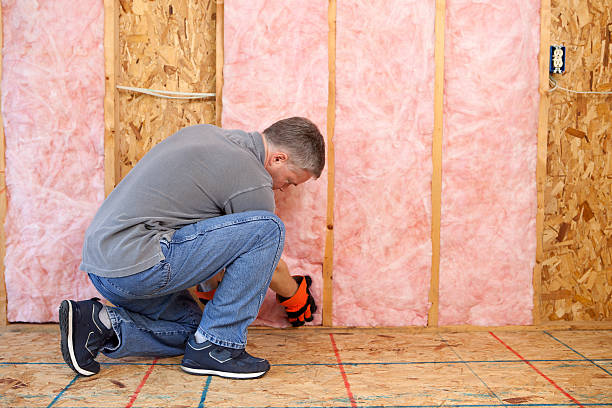 Best Soundproof Insulation Installation  in Hampton, GA