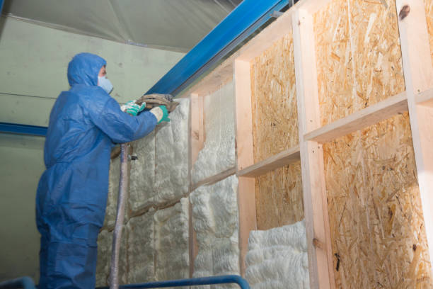Best Commercial Insulation Contractor  in Hampton, GA